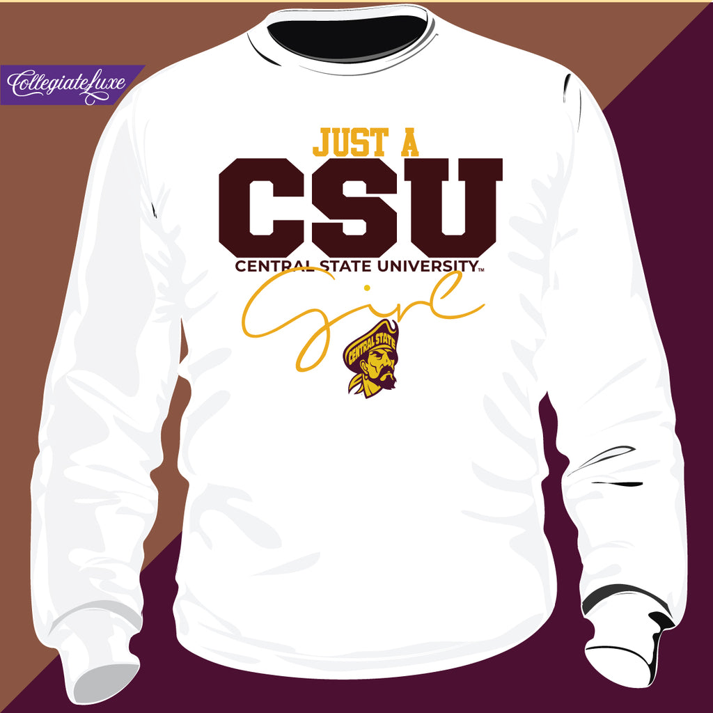 Central state best sale university sweatshirt