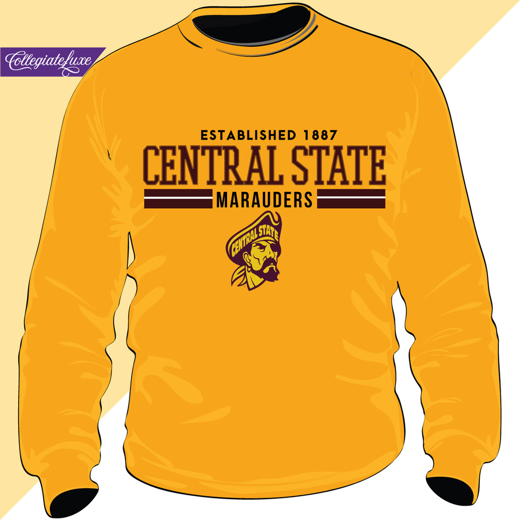 Central state mature university hoodie