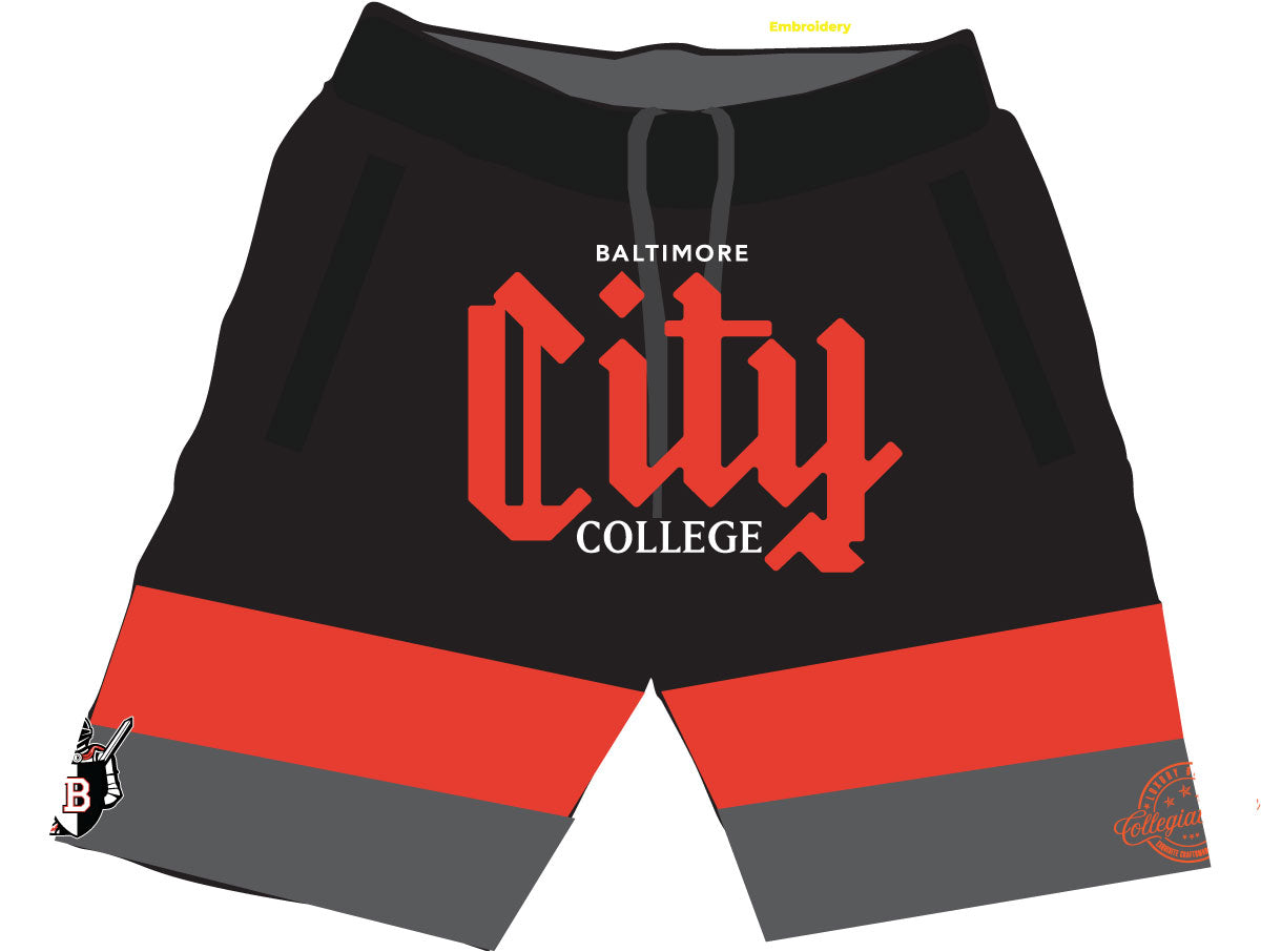 CITY COLLEGE LOGO Fleece Unisex Shorts (DK)