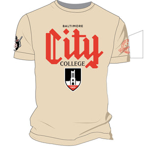 CITY  COLLEGE Cream Chenille Unisex Tees (DK)