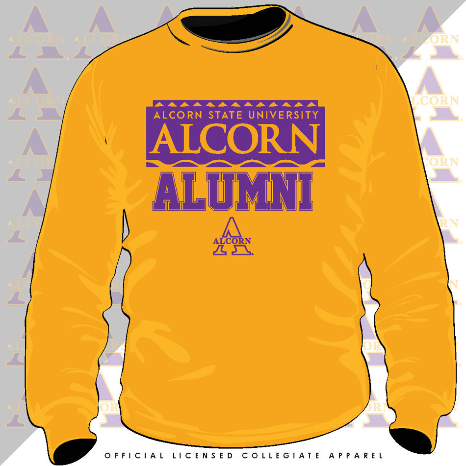 Youth Champion Purple Alcorn State Braves Jersey Long Sleeve T-Shirt