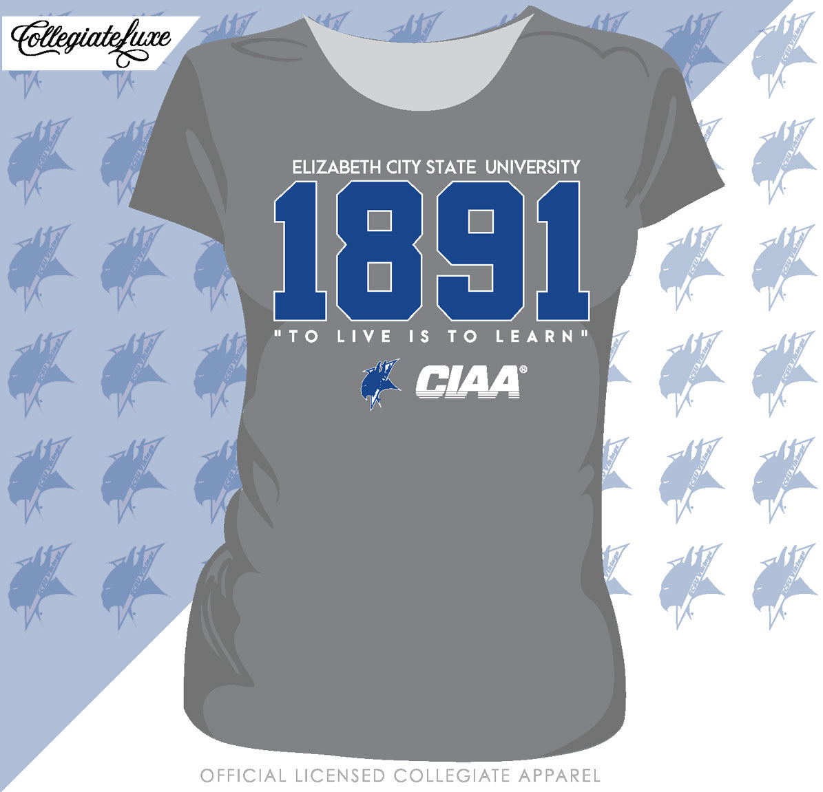 ECSU | EST. Gray Ladies Tees (Z)