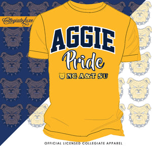 NC A&T AGGIES | PRIDE ARCH Unisex Tees (DK'N)