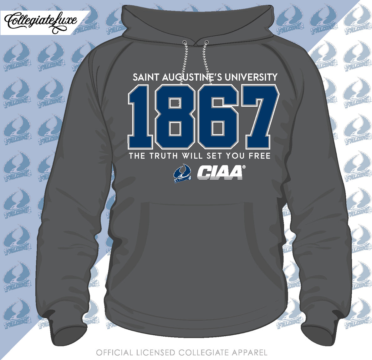 Free 2025 university hoodies